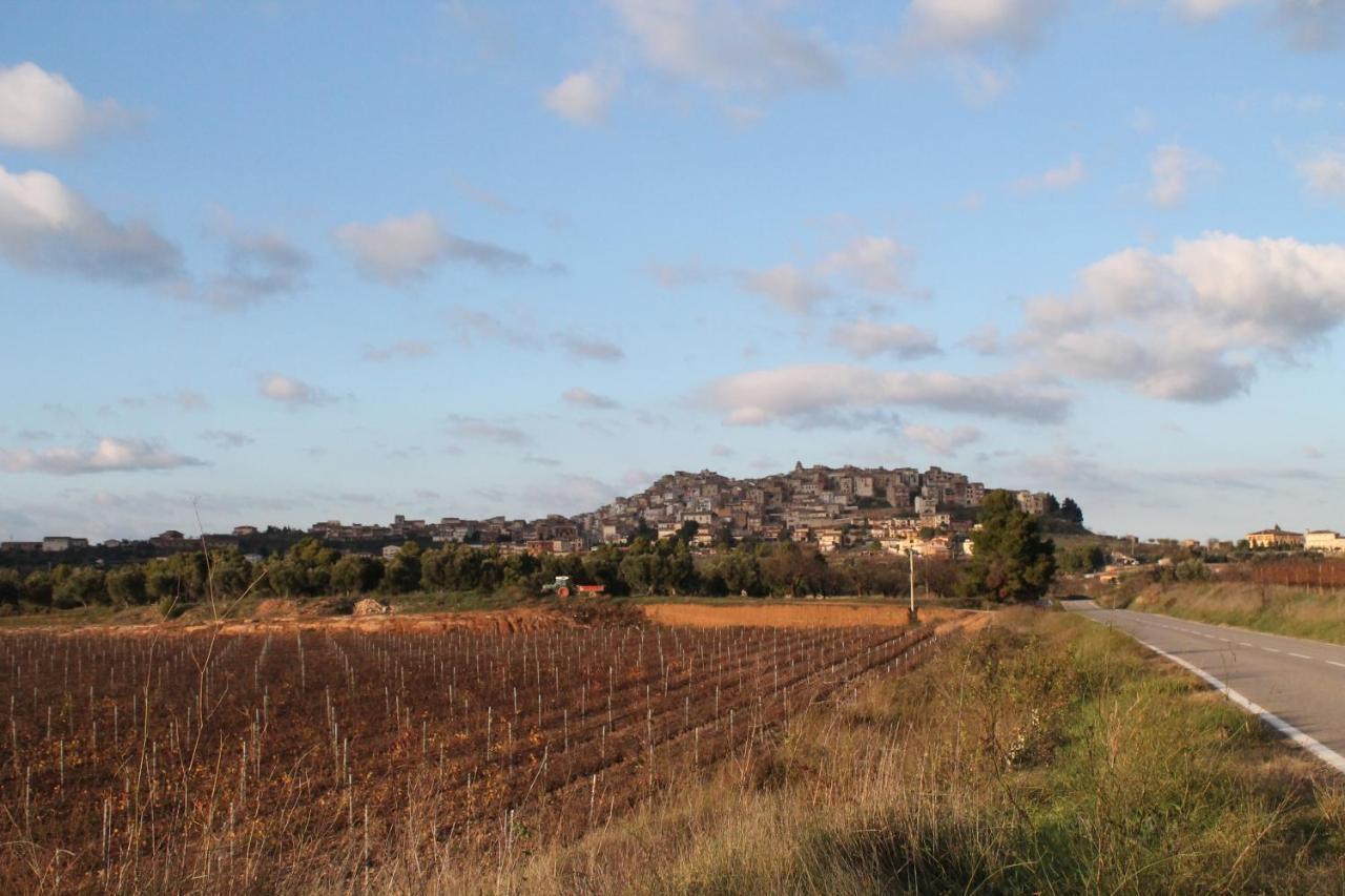 En L'horta De Sant Joan *